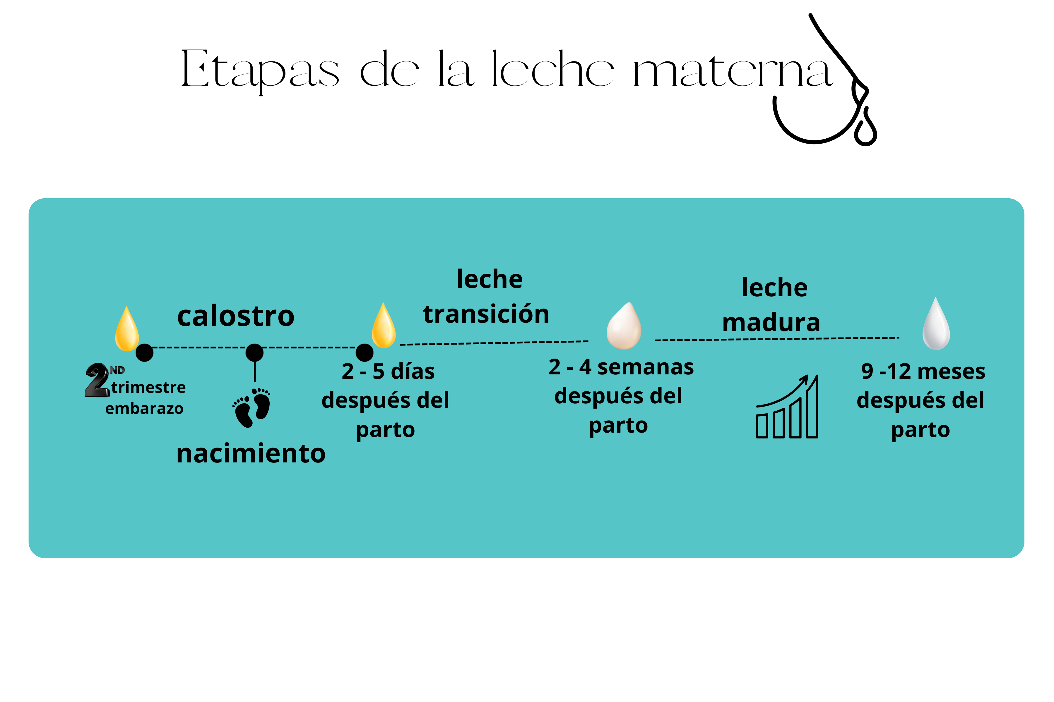 Descripción breve de la imagen